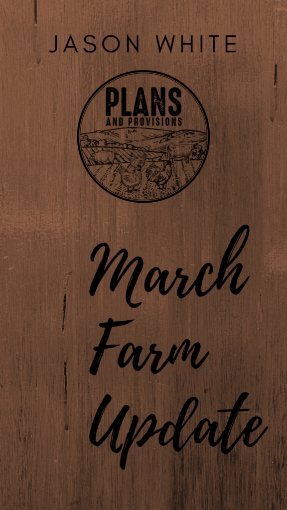 P&P 004: March Farm Update