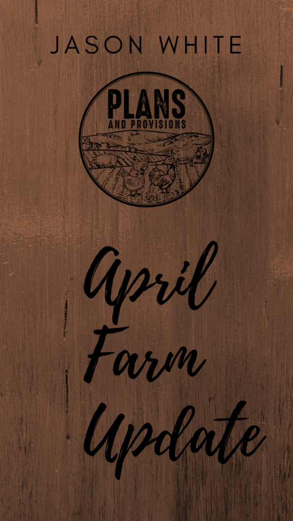 P&P 008: April Farm Update