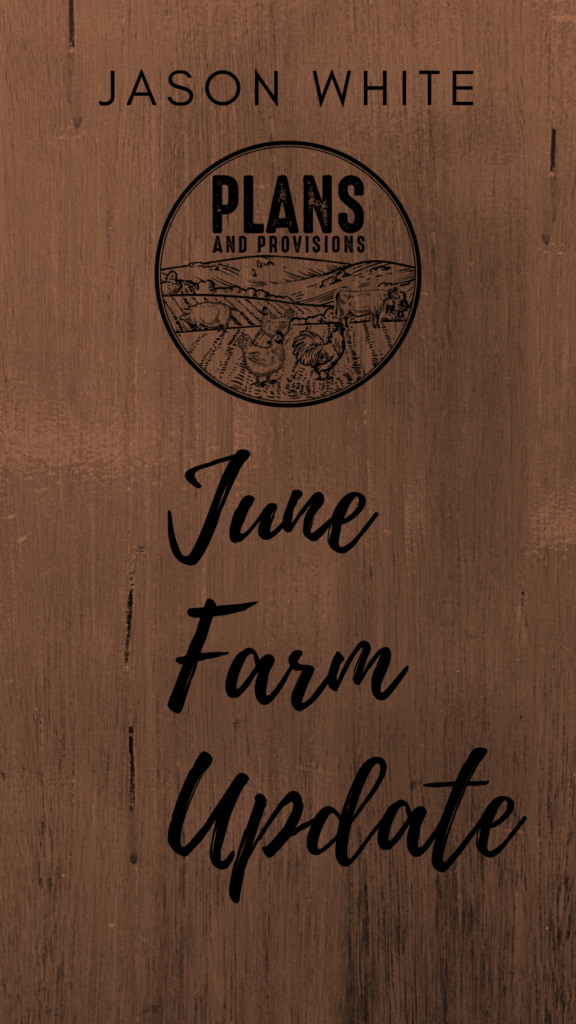P&P 014: June Farm Update