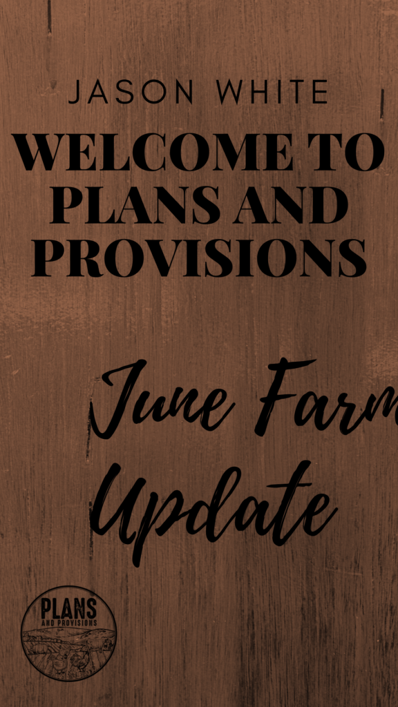 P&P 014: June Farm Update
