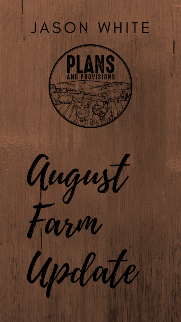 P&P 018: August Farm Update